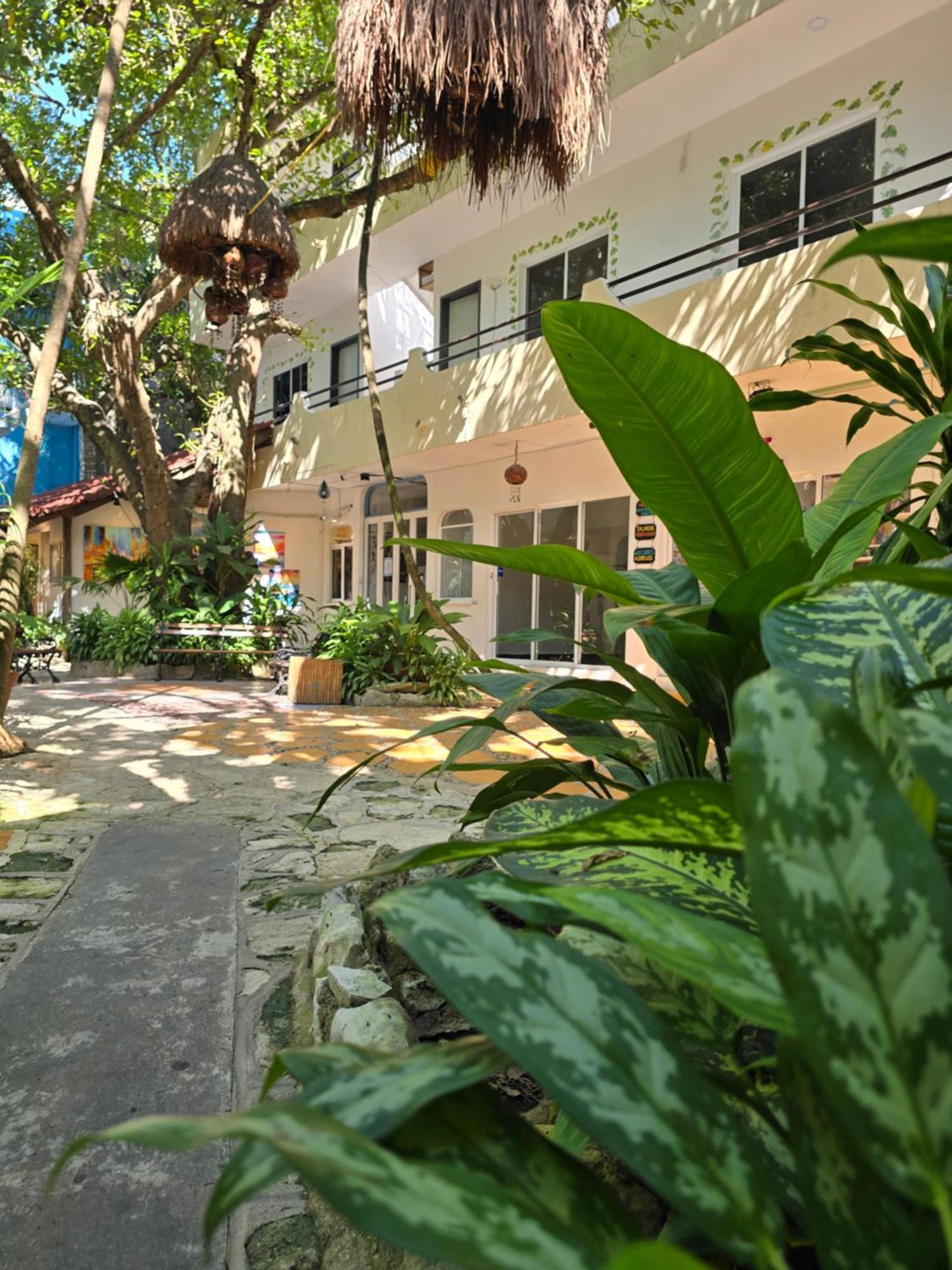 Hotel Ha Garden Gallery - 5Th Avenue Playa del Carmen Eksteriør bilde