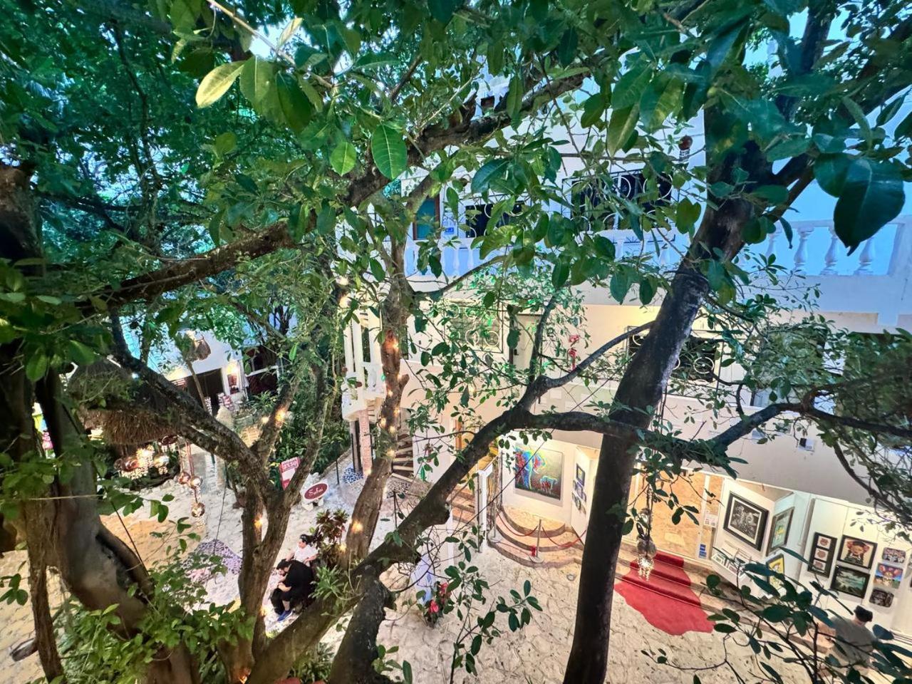 Hotel Ha Garden Gallery - 5Th Avenue Playa del Carmen Eksteriør bilde