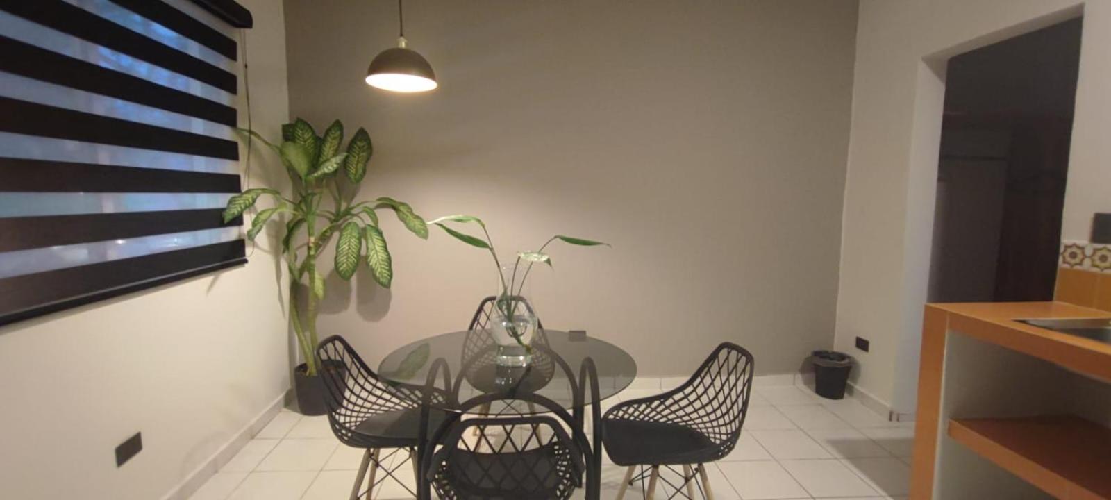Hotel Ha Garden Gallery - 5Th Avenue Playa del Carmen Eksteriør bilde