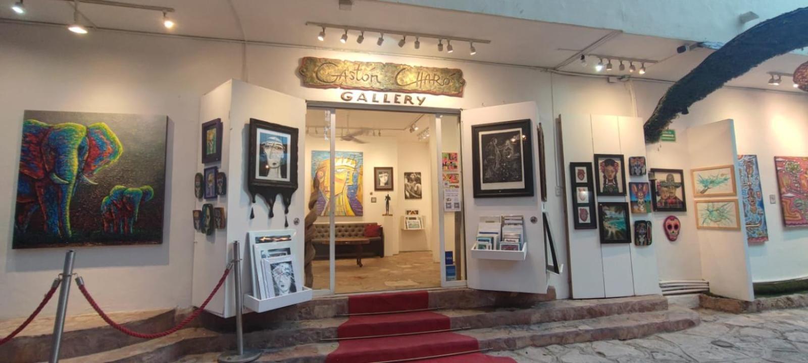 Hotel Ha Garden Gallery - 5Th Avenue Playa del Carmen Eksteriør bilde