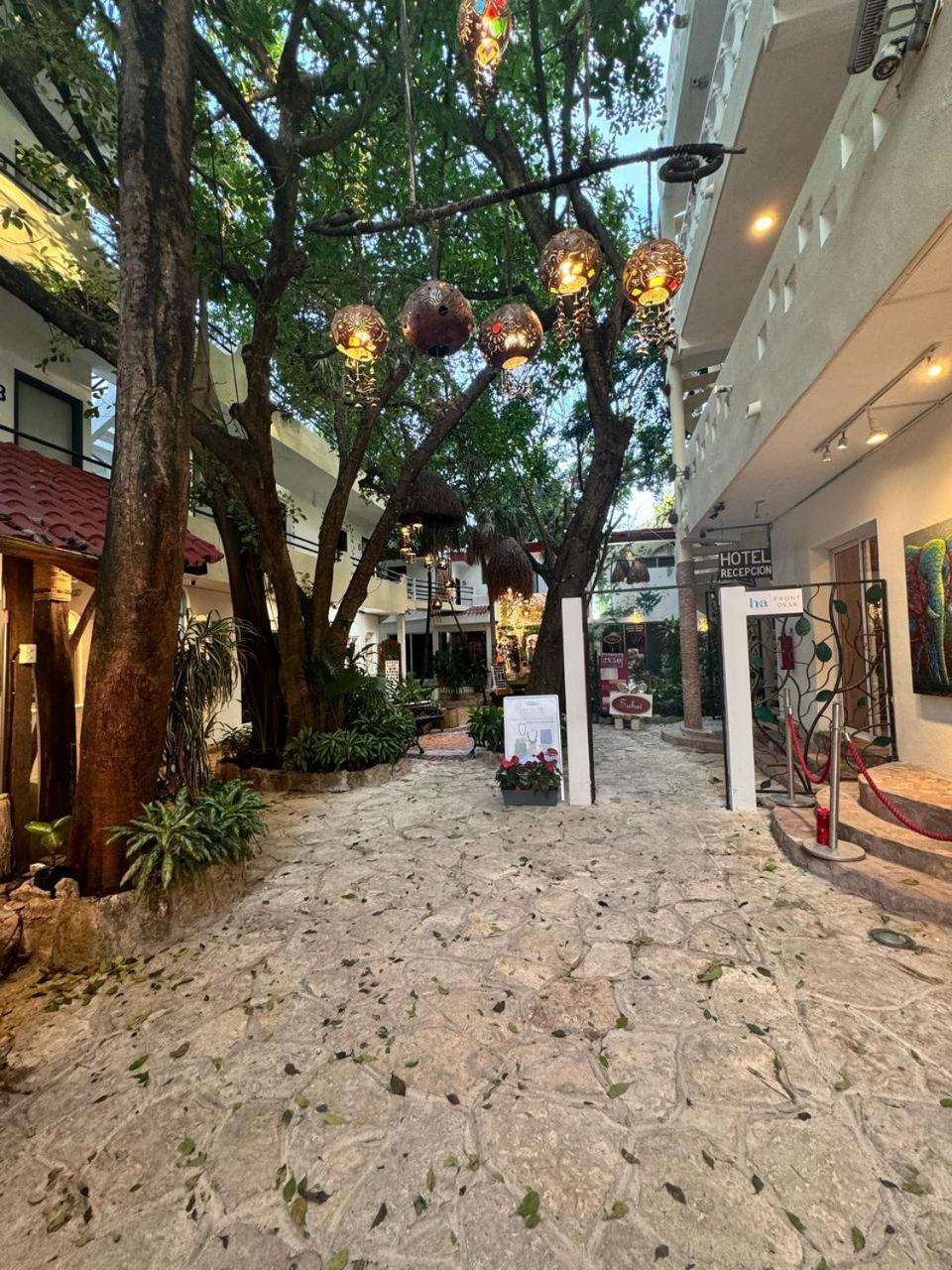 Hotel Ha Garden Gallery - 5Th Avenue Playa del Carmen Eksteriør bilde