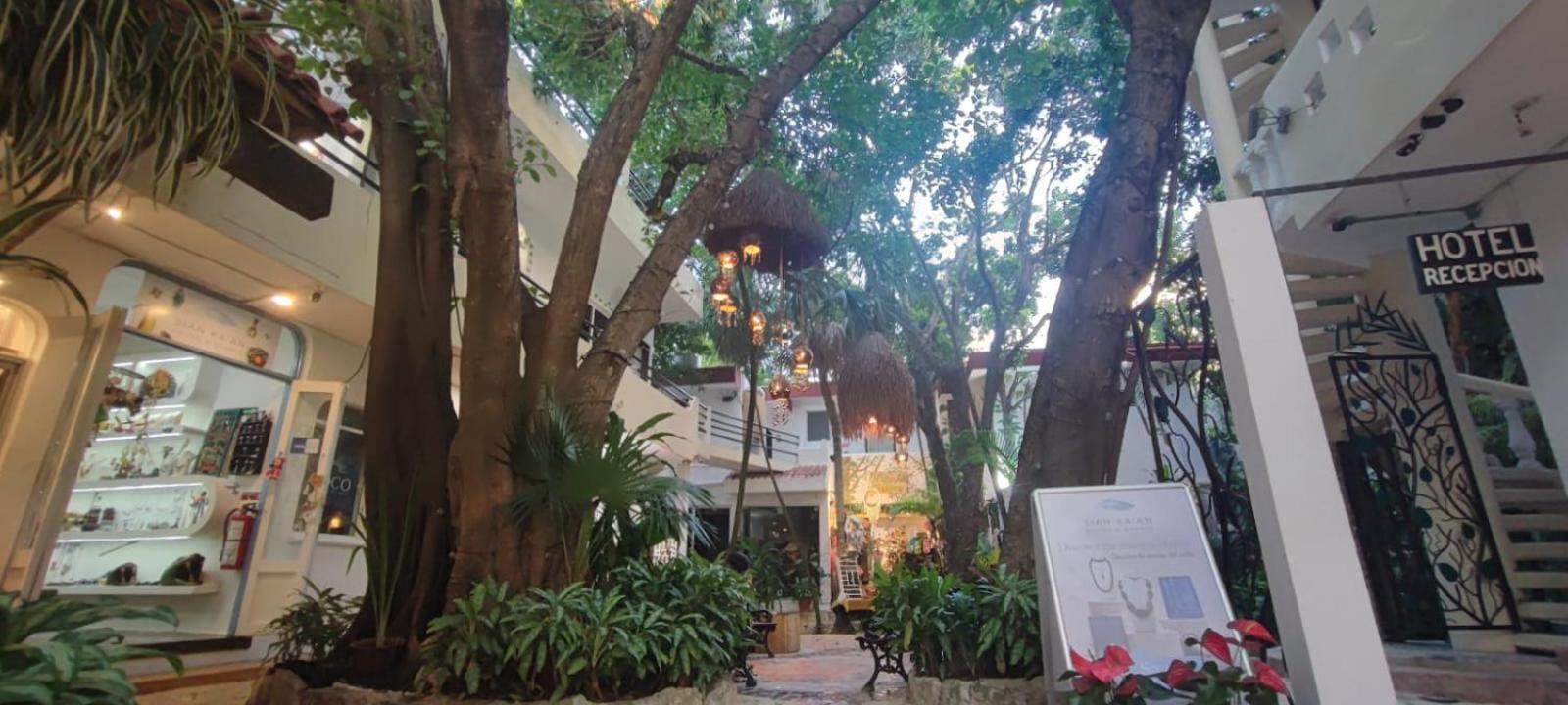 Hotel Ha Garden Gallery - 5Th Avenue Playa del Carmen Eksteriør bilde