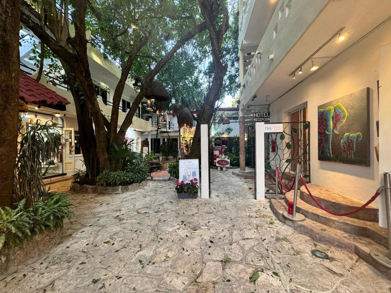Hotel Ha Garden Gallery - 5Th Avenue Playa del Carmen Eksteriør bilde