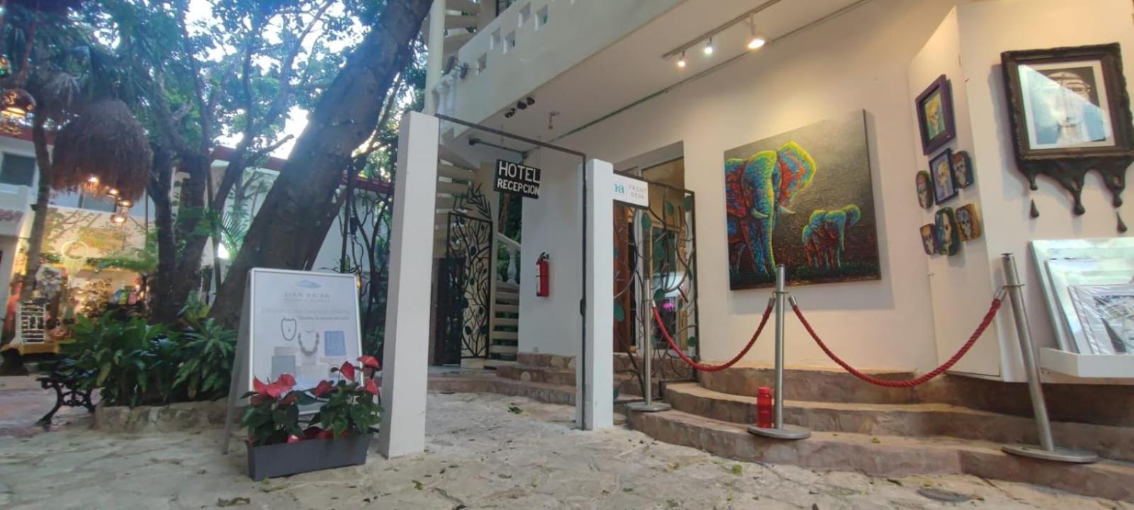 Hotel Ha Garden Gallery - 5Th Avenue Playa del Carmen Eksteriør bilde